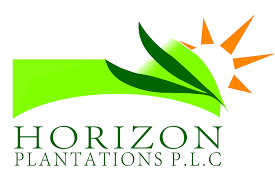 Horizon Plantations